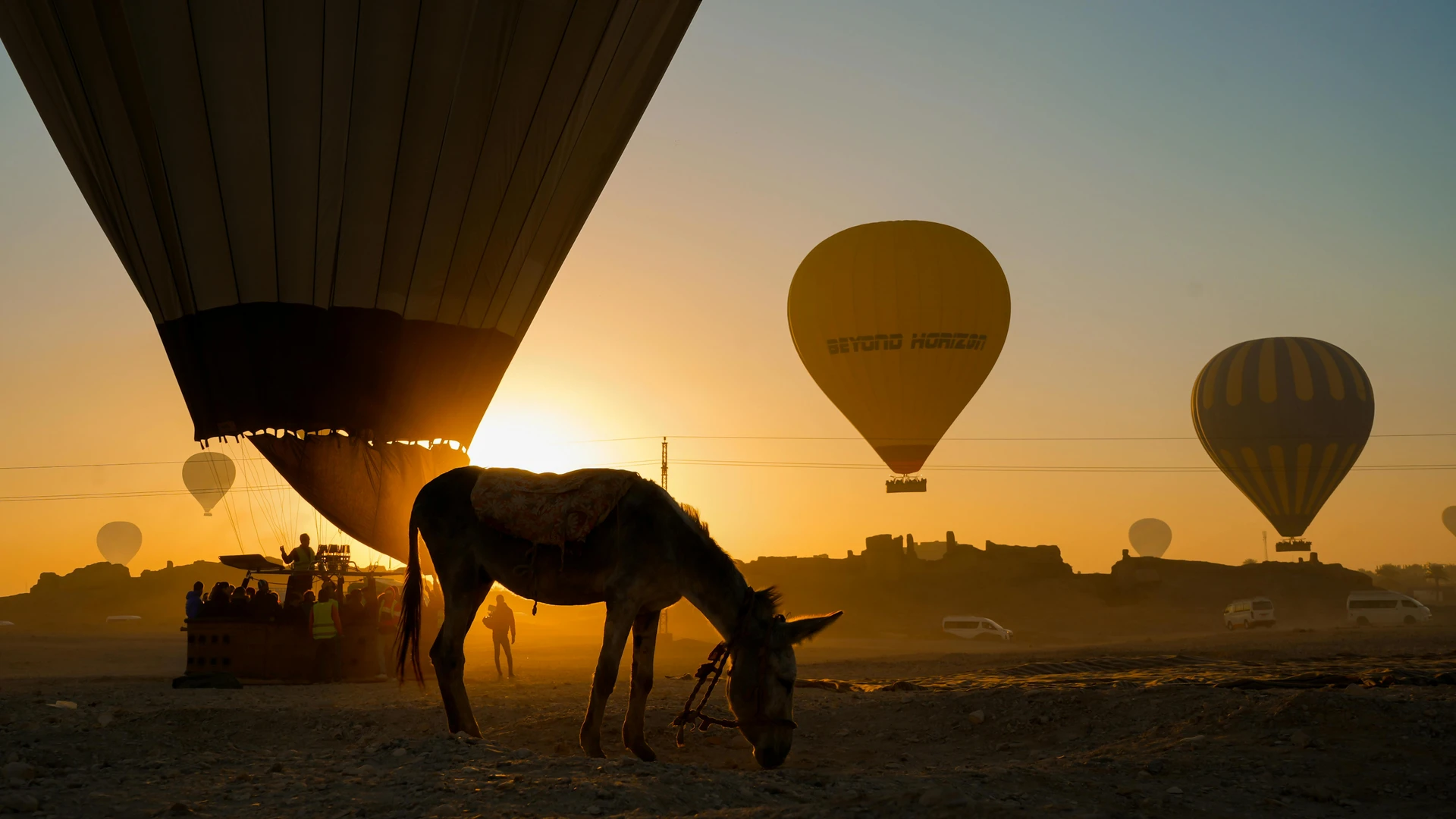 Luxor, Egypt - Silhouette of a donkey with hot air balloons during sunset in luxor, egypt.