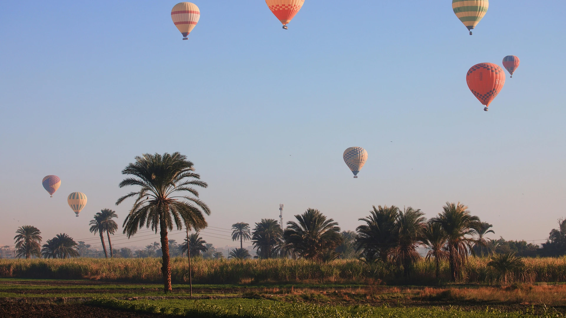 Luxor, Egypt - Colorful hot air balloons soaring over palm trees in a clear blue sky, creating an adventure-filled scene.