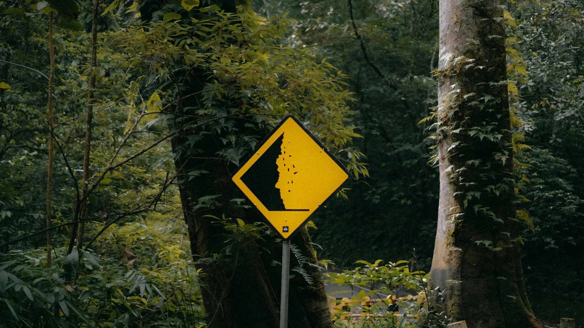 Marsa Alam, Egypt - Landslide warning sign in lush green forest, mojokerto, east java.