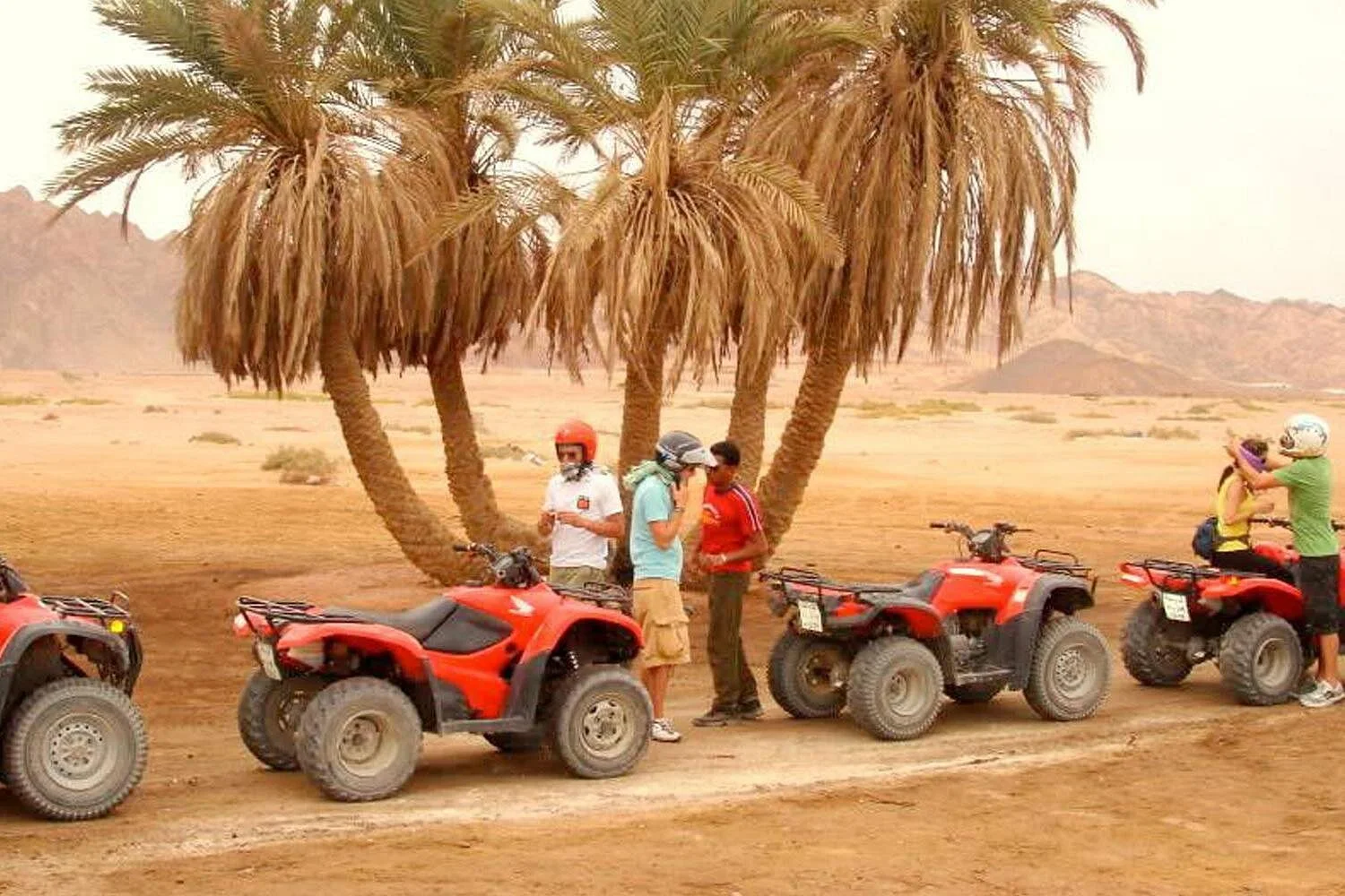 bedouin bbq in the egyptian desert by 4x4 - Image 4