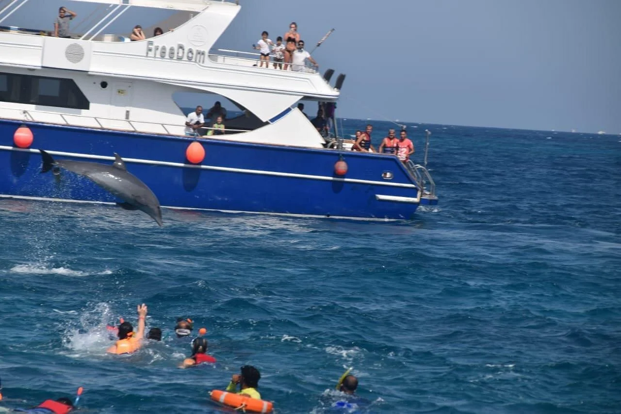 dolphin house and banana boat fun from hurghada - Image 2