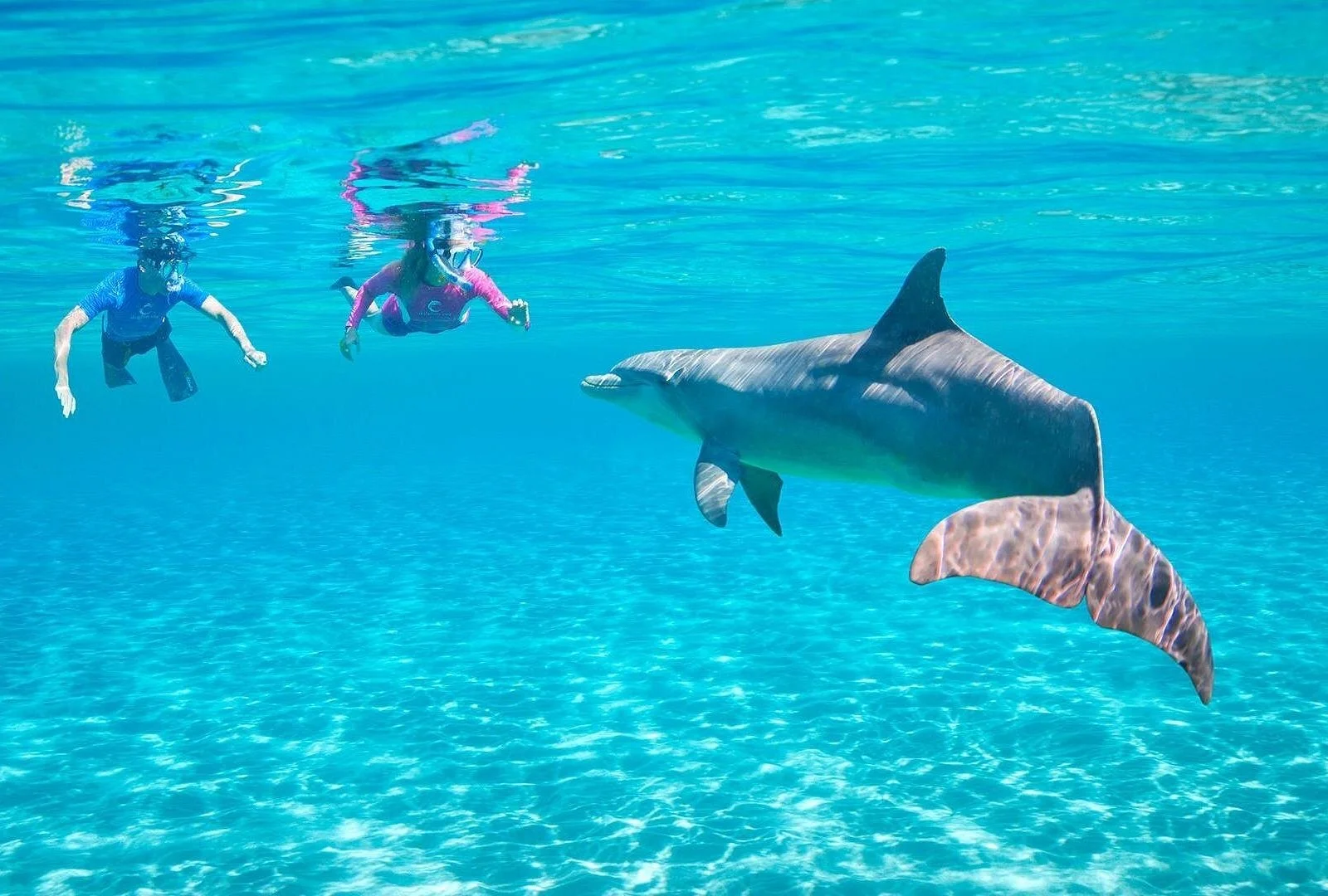 dolphin house hurghada - Image 2