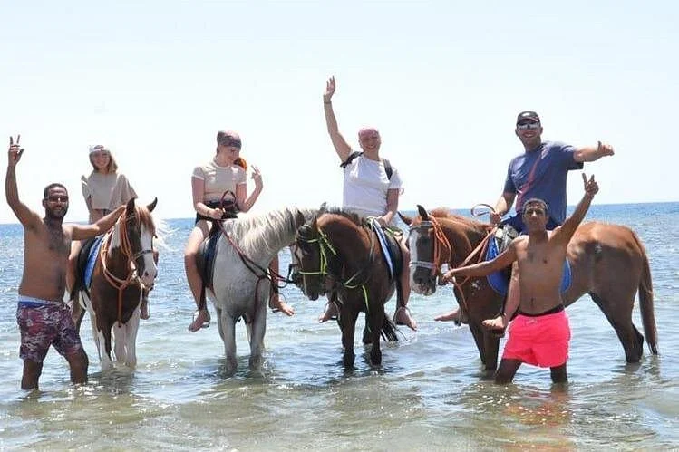 el gouna horse ride tour - Image 5