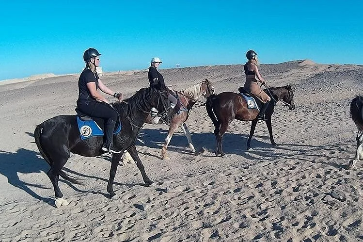 el gouna horse ride tour - Image 6