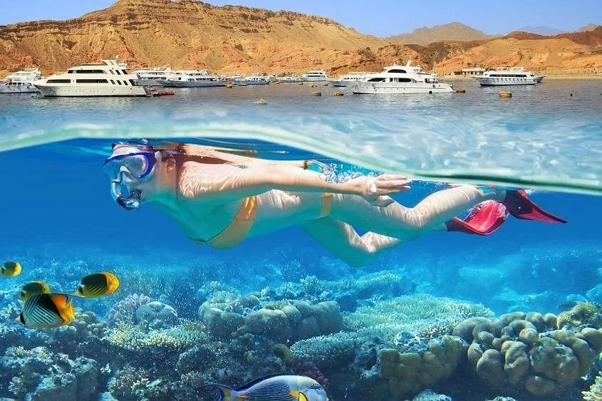 hamata snorkeling sea trip from marsa alam - Image 2