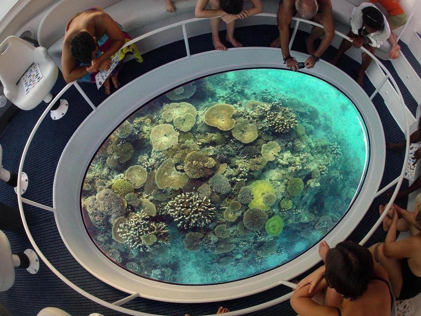 hurghada glass bottom speed boat with fish eye view - Image 3