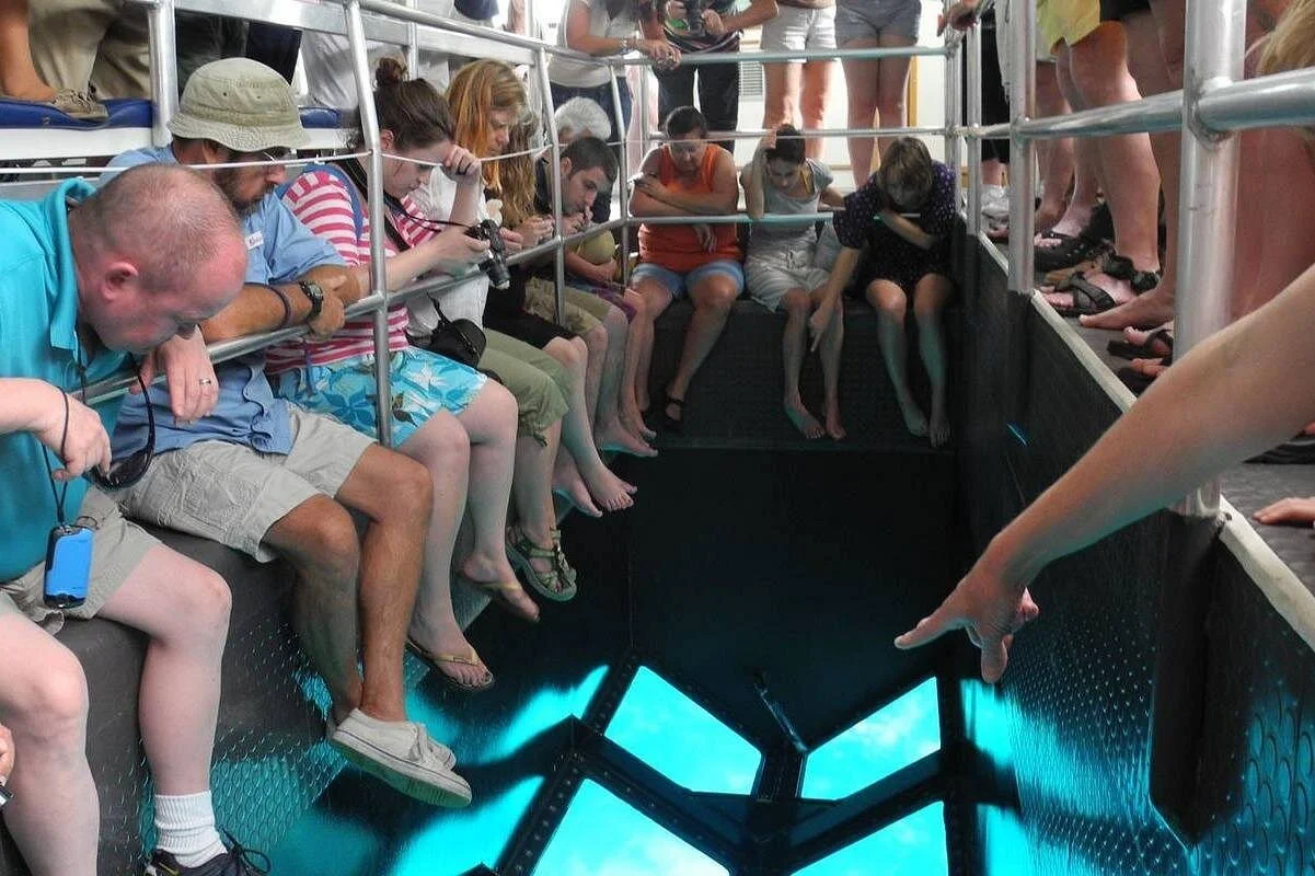 hurghada glass bottom speed boat with fish eye view - Image 4