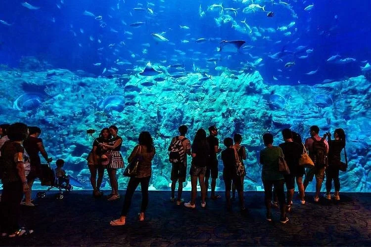 hurghada grand aquarium tour with skip the line ticket - Image 2