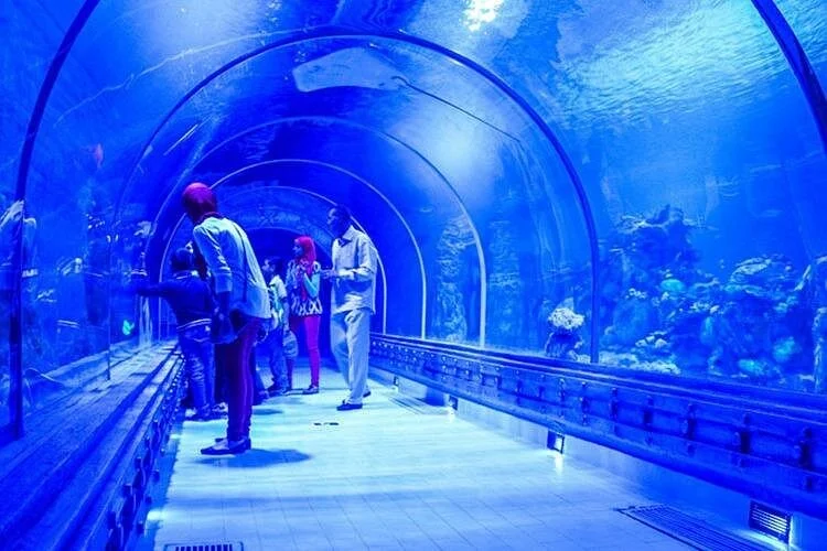 hurghada grand aquarium tour with skip the line ticket - Image 4