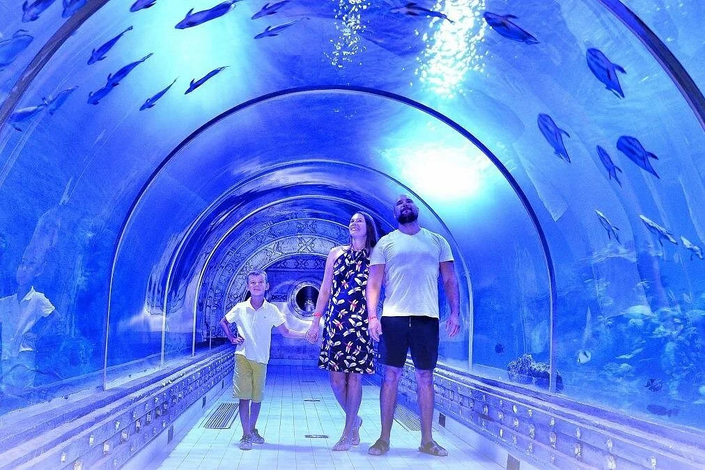 hurghada grand aquarium tour with skip the line ticket - Image 5