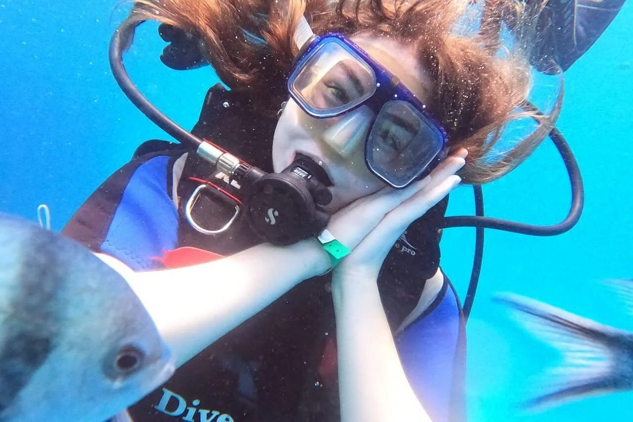 intro diving beginner and discover red sea underwater - Image 2