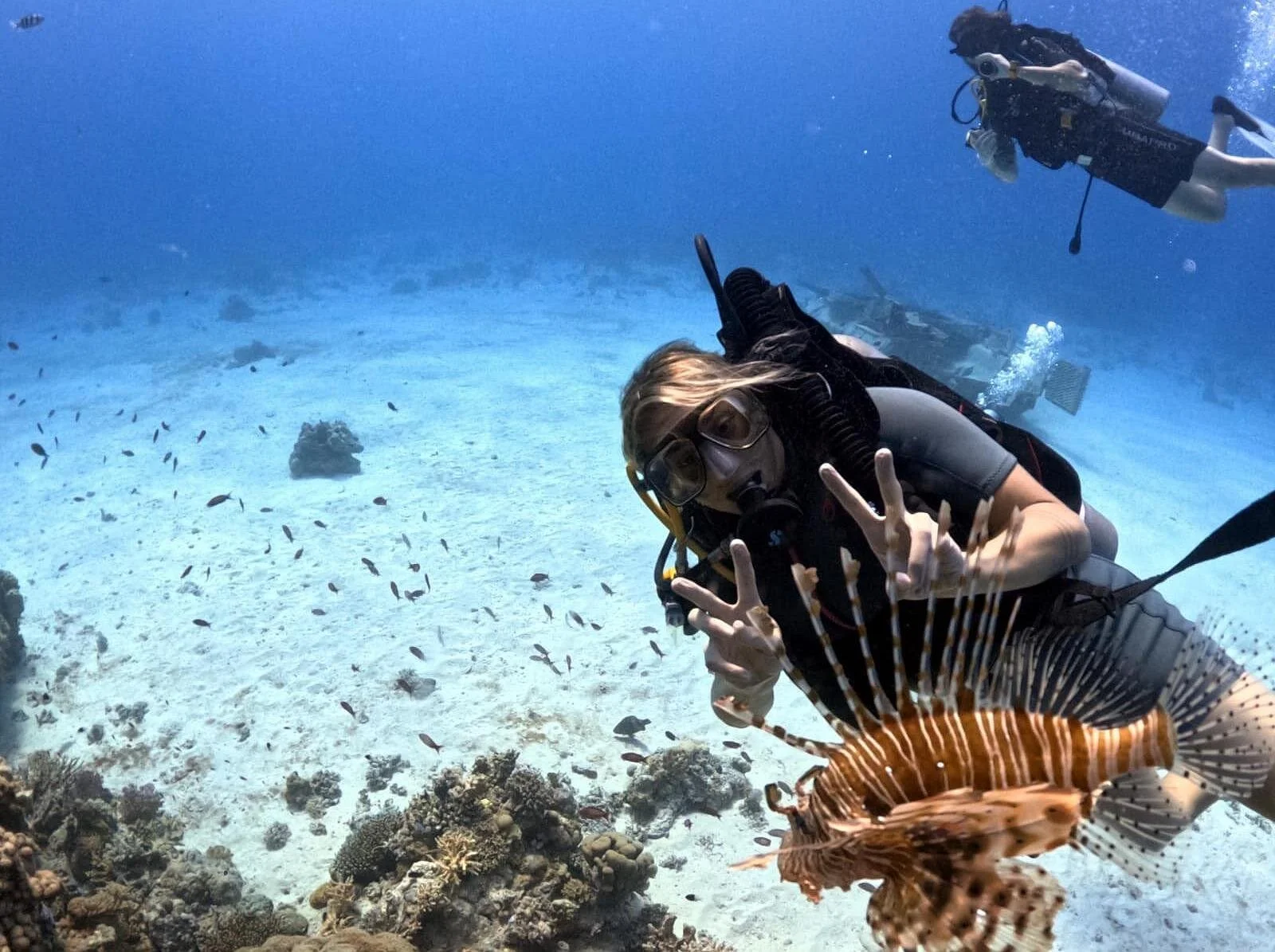 intro diving beginner and discover red sea underwater - Image 6