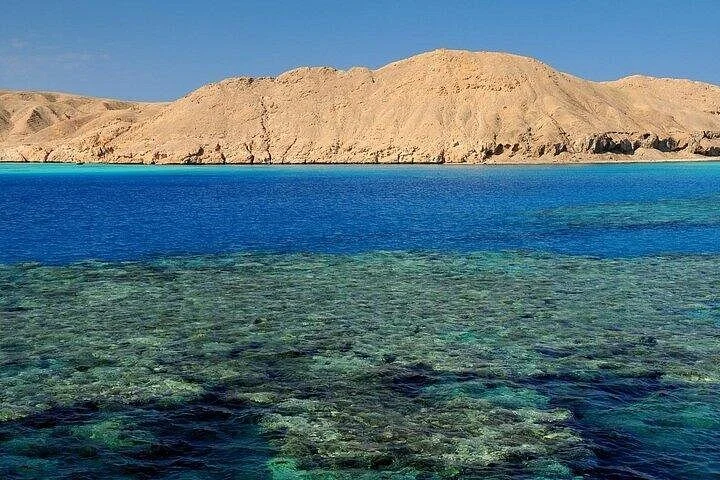 seaside adventures from marsa alam to hamata with lunch - Image 5