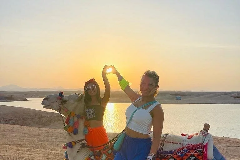 sunrise camel riding desert and sea in marsa alam - Image 4