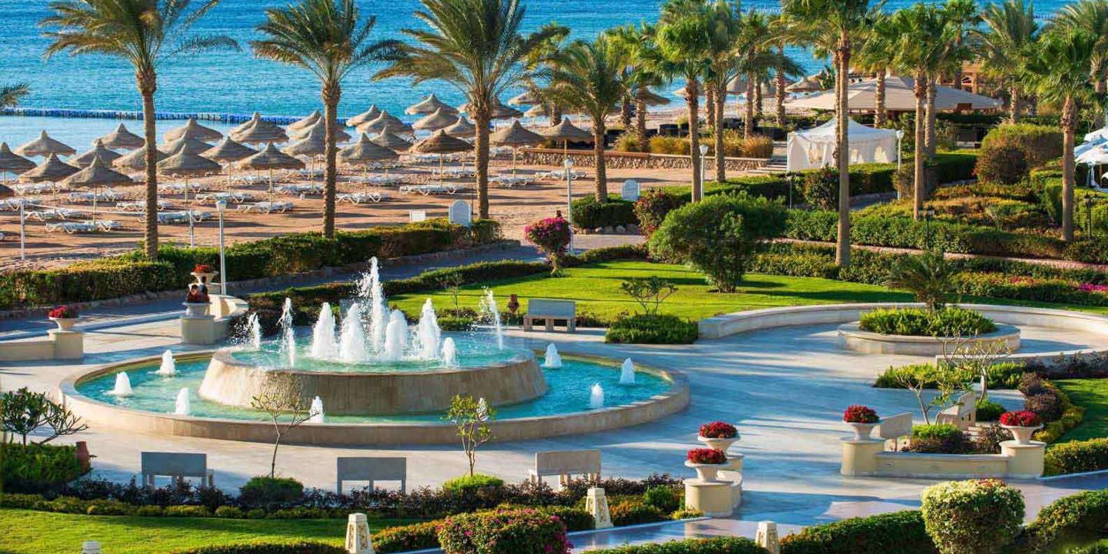 Cairo: Red Sea Day Trip with Lunch