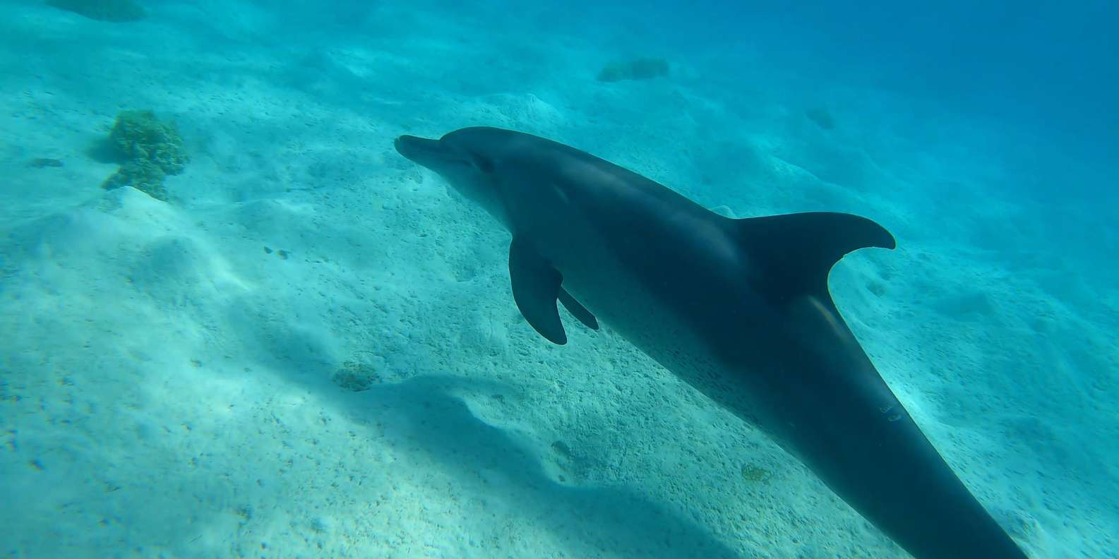 Hurghada: 3 Islands, Dolphins & Snorkel Yacht Trip