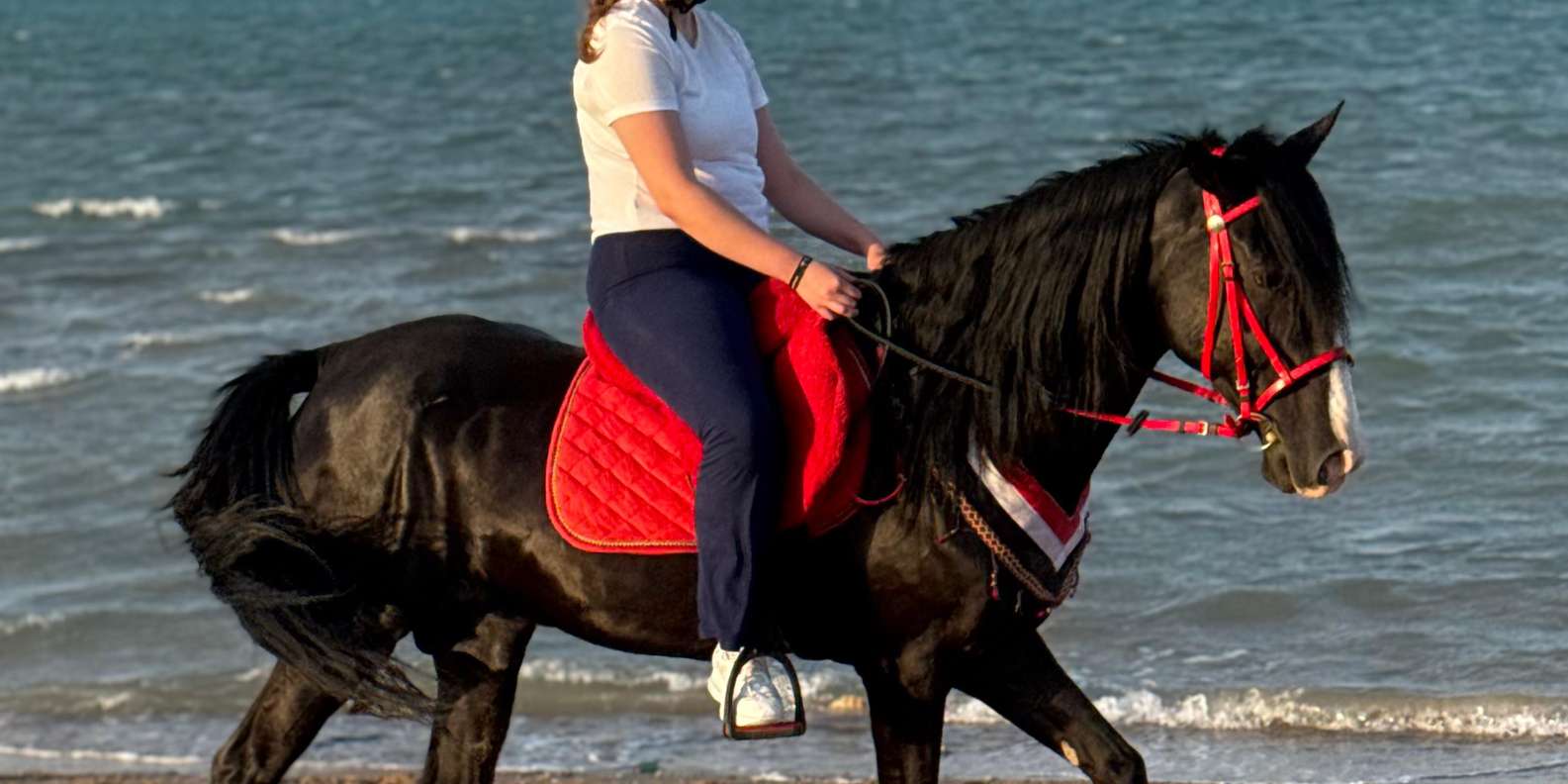 Hurghada: Desert and Beach Horse Riding Adventure