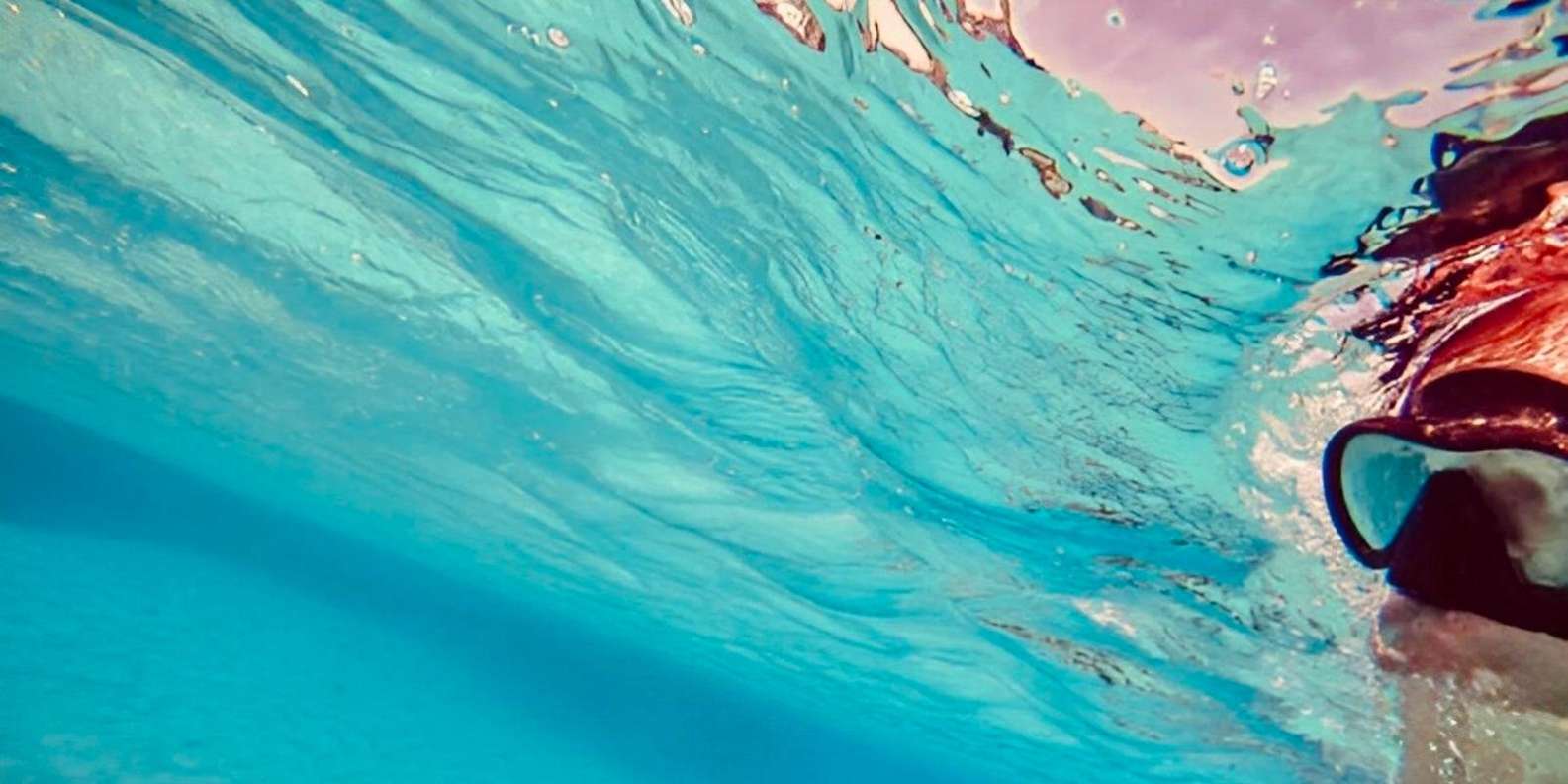 Hurghada: Dolphin House Yacht Trip, Snorkelling & Lunch