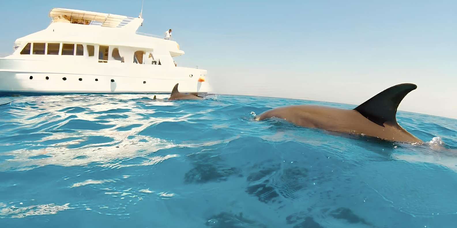 Hurghada: Dolphin House Yacht Trip, Snorkelling & Lunch