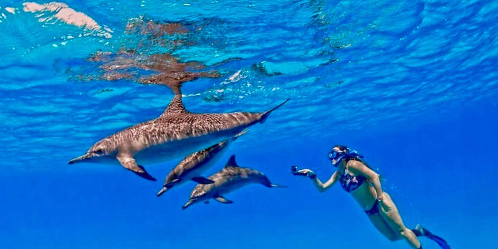 Hurghada: Dolphin House Yacht Trip, Snorkelling & Lunch