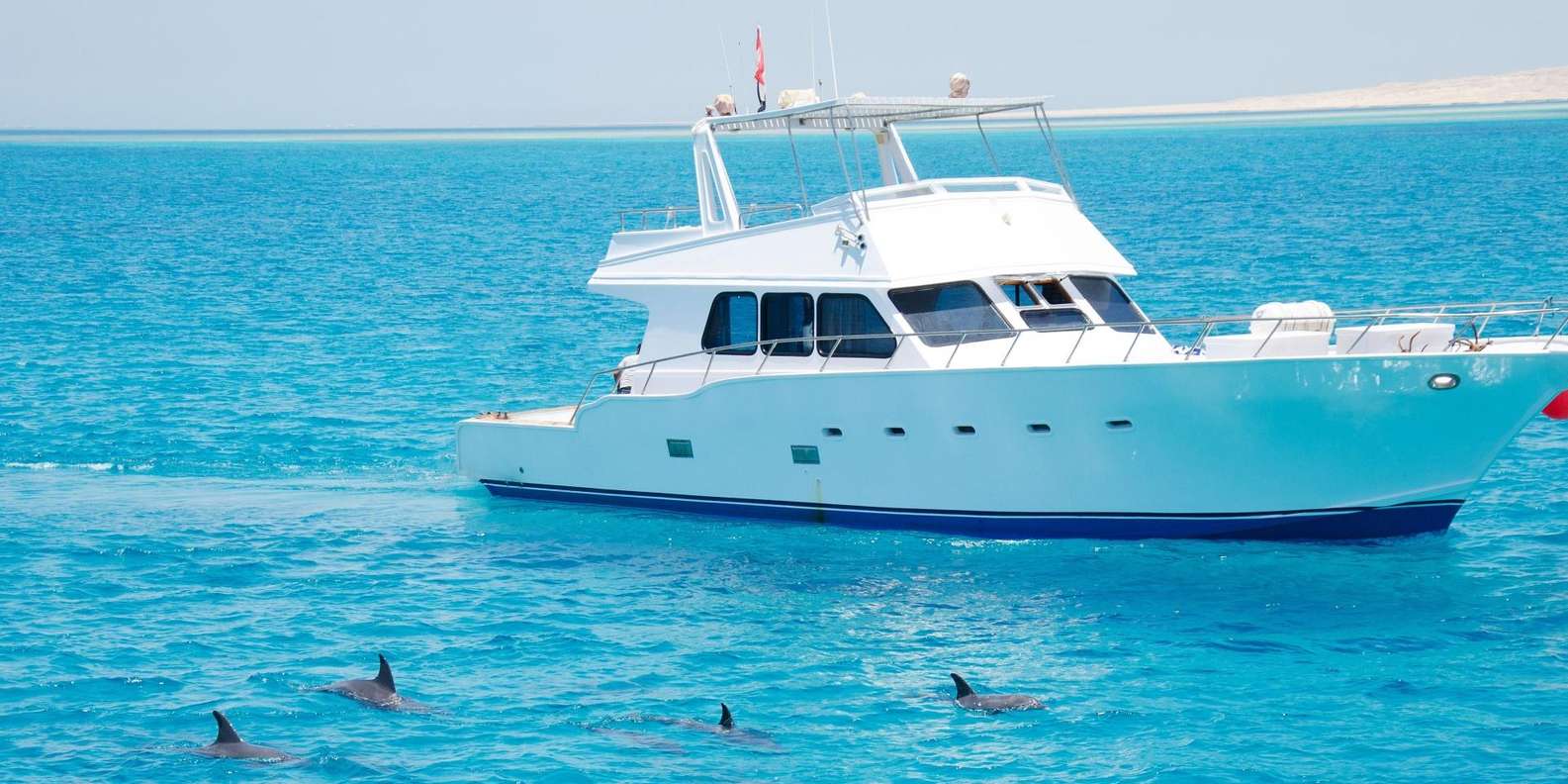 Hurghada: Dolphin House snorkelling & dolphin swim