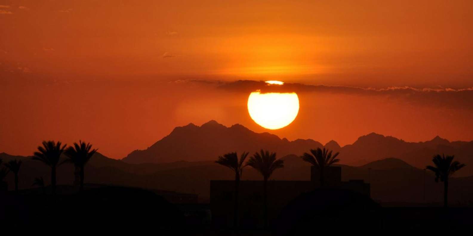 Hurghada: Desert Quad, Camel Ride, Dinner & Stargazing