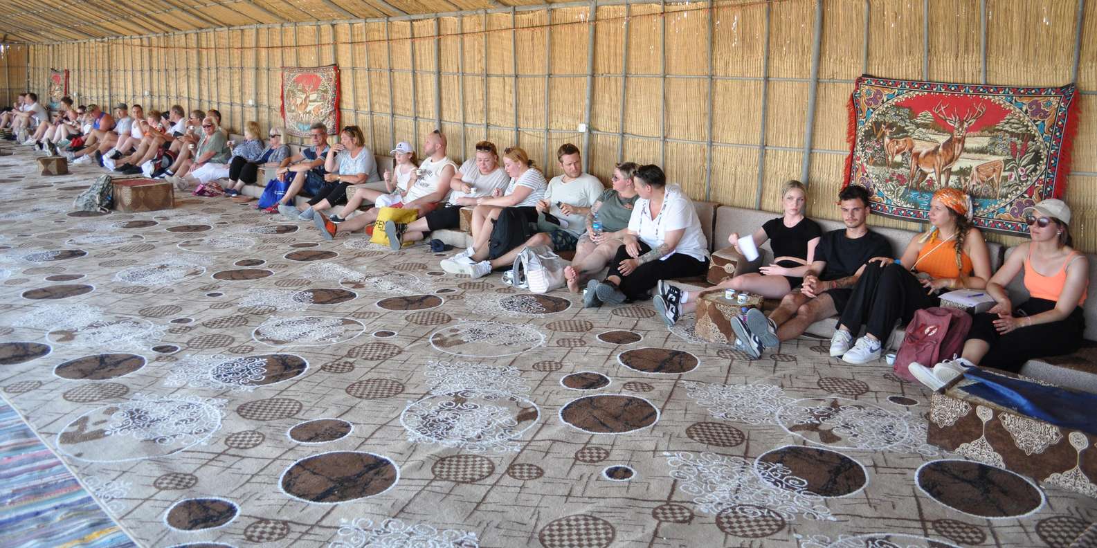 Hurghada: Sunset Oasis Safari with Horse Ride & Stargazing