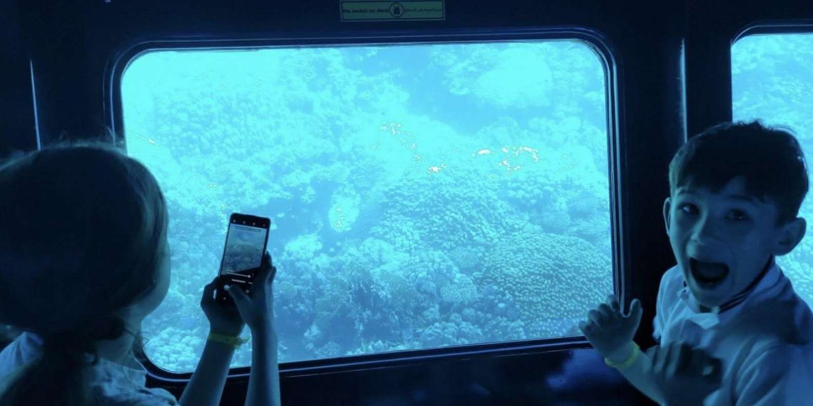 Makadi Bay: Royal Seascope Semi-Submarine Cruise & Snorkel