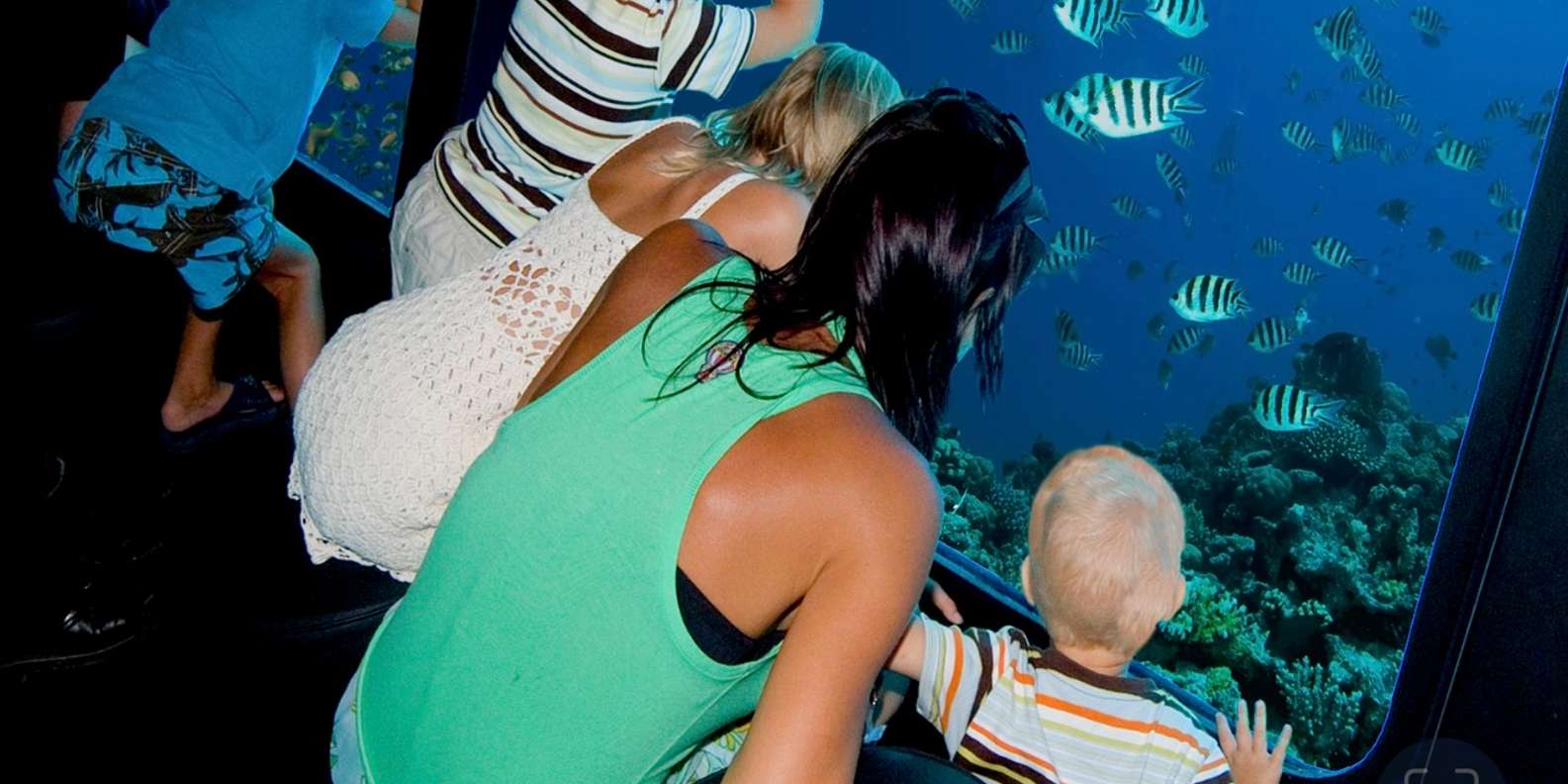 Marsa Alam: Semi-Submarine Red Sea Reef Adventure