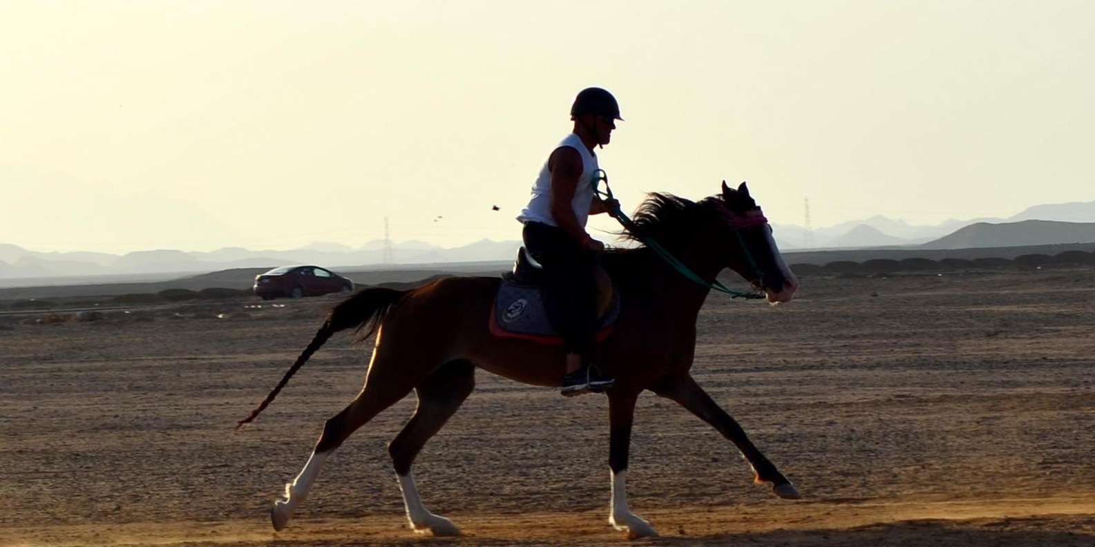 Marsa Alam: Sunset Horseback Ride, Dinner & Stars