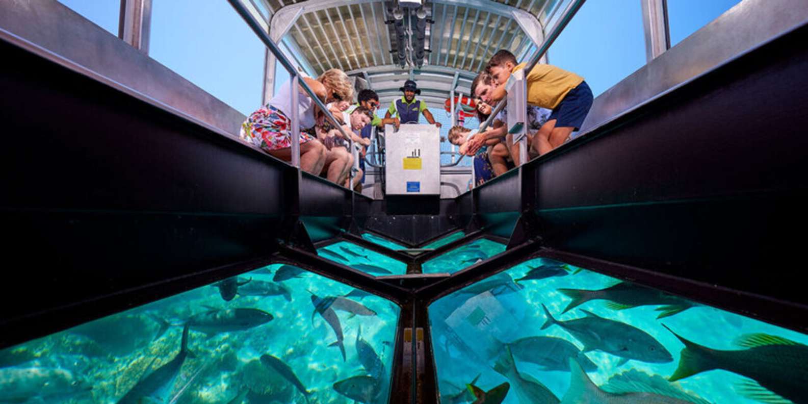 Sharm El Sheikh: Glass-Bottom Boat Reef Adventure