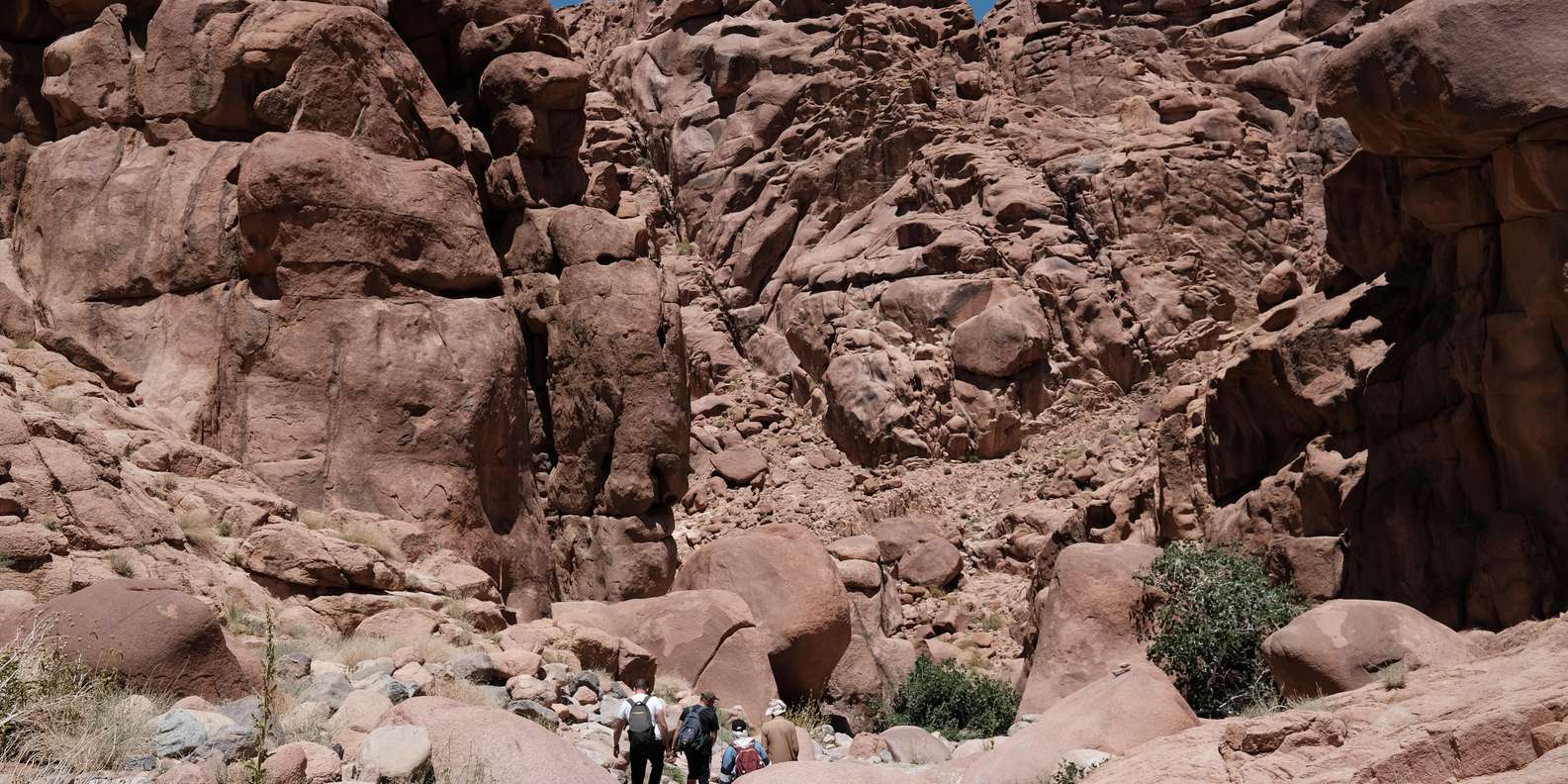 Sharm El Sheikh: Private Mount Sinai & St Catherine Tour