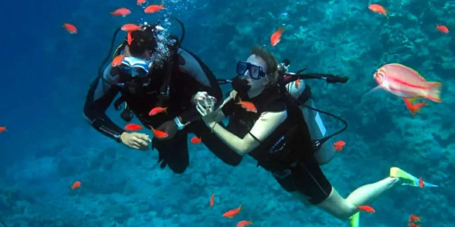 Sharm El Sheikh: Ras Mohamed & White Island Dive & Snorkel