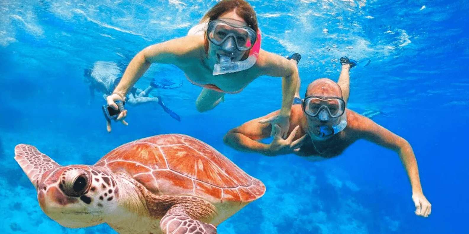 Sharm El Sheikh: Ras Mohamed & White Island Dive & Snorkel