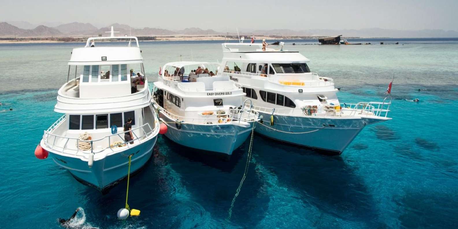 Sharm El Sheikh: Tiran Island Cruise, Snorkel & Dive