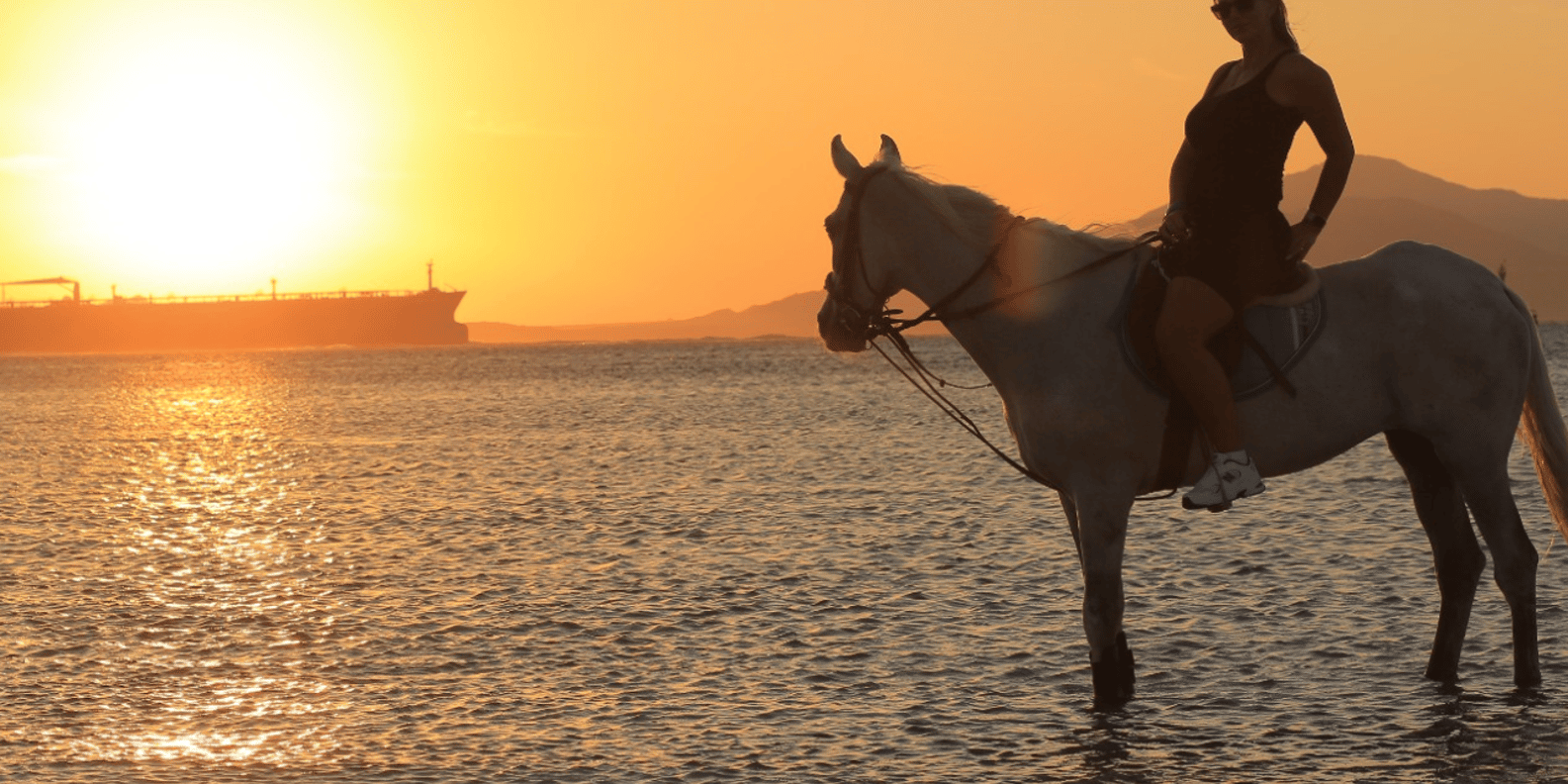 Sharm El Sheikh: Beach & Desert Horse Riding