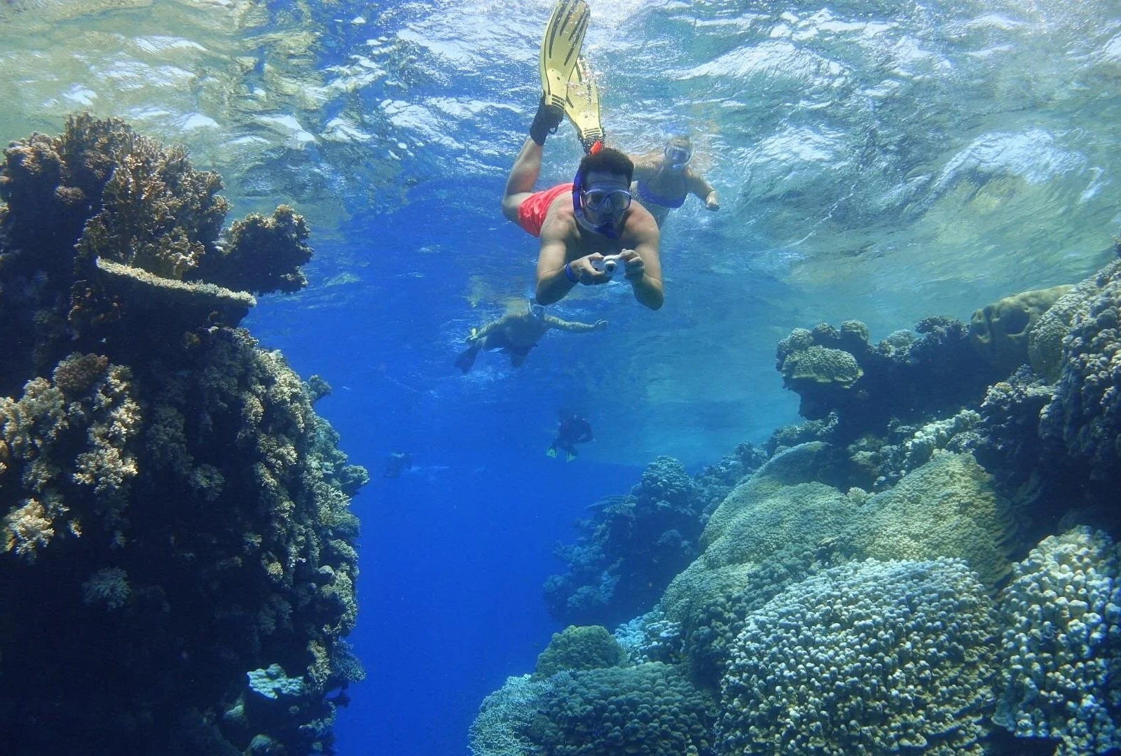 coral garden snorkeling from masa alam - Image 1
