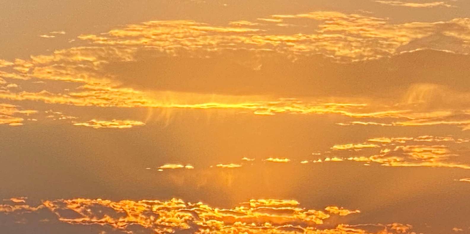 Hurghada: Oasis Sunset Camel Ride & Stargazing