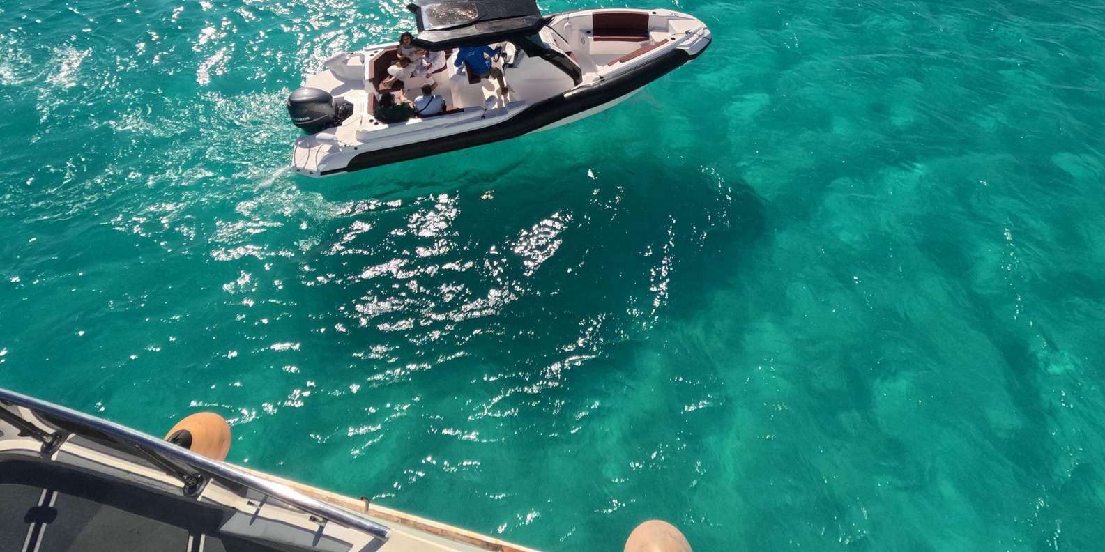 Hurghada: Private Speedboat to Dolphin House with Pickup