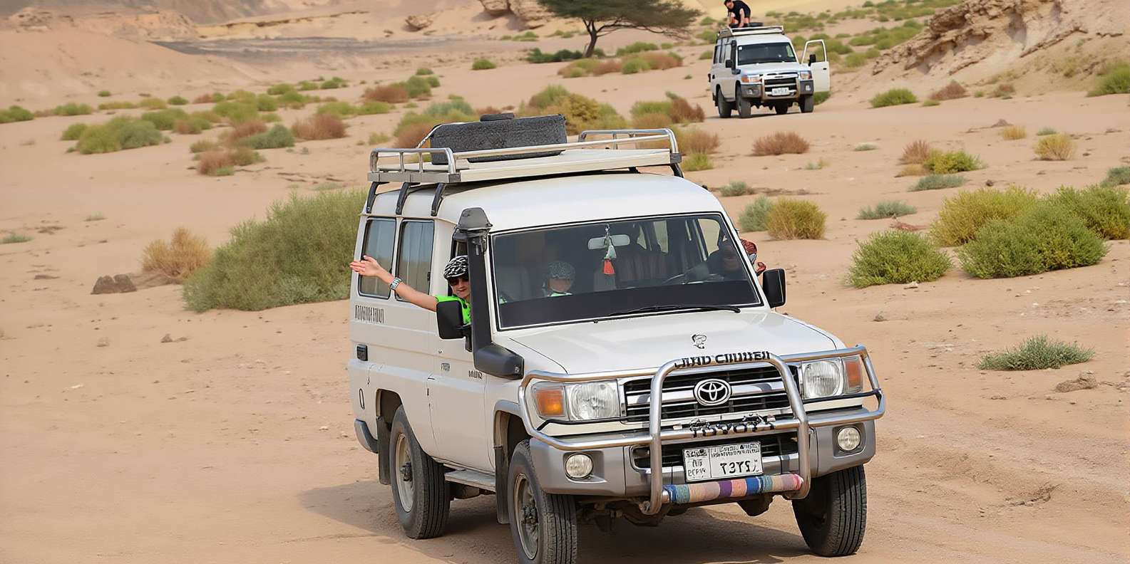 Marsa Alam: Wadi El Gemal Jeep Tour & Dinner