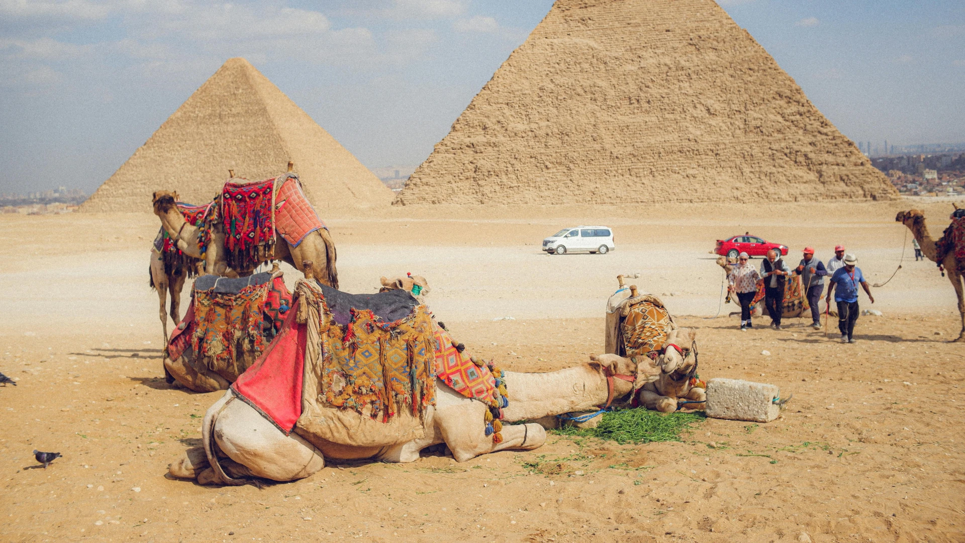 Cairo, Egypt - Camels resting near the giza pyramids with tourists exploring the iconic site.