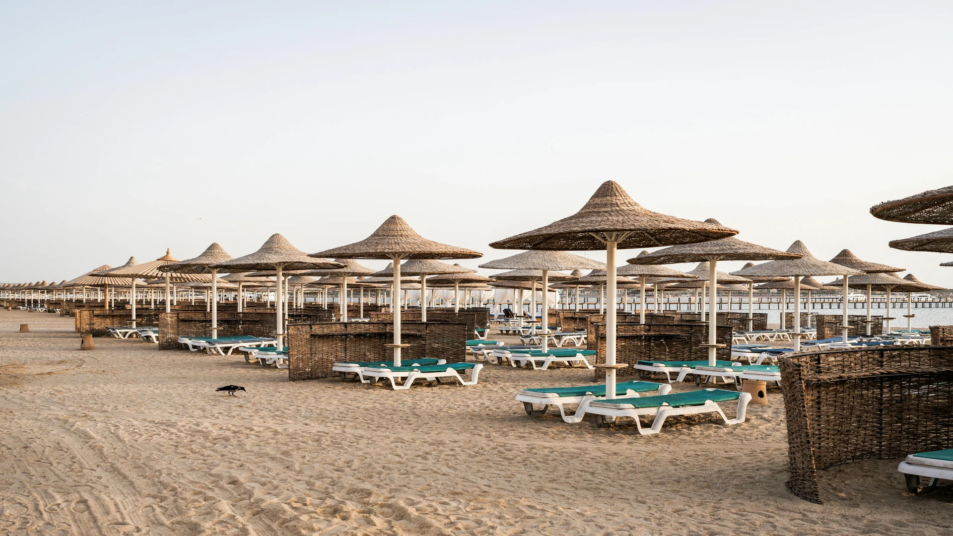 Hurghada, Egypt - Serene view of straw sun umbrellas on the sandy beach of hurghada, egypt.